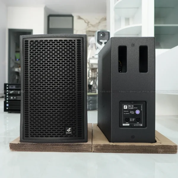 Loa Fullrange 4Acoustic DR10