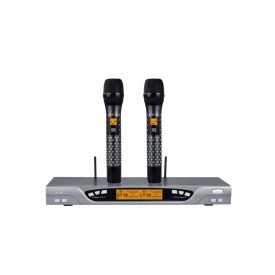 Micro Karaoke Baiervires BS880