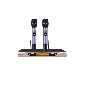 Micro Karaoke Baiervires BS970