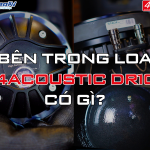 NỘI THẤT LOA KARAOKE 4ACOUSTIC DR10