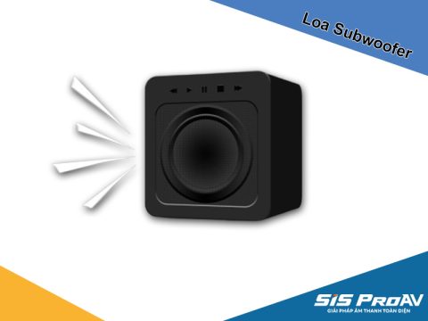 Top Loa Subwoofer cho dàn Karaoke gia đình ăm 2025