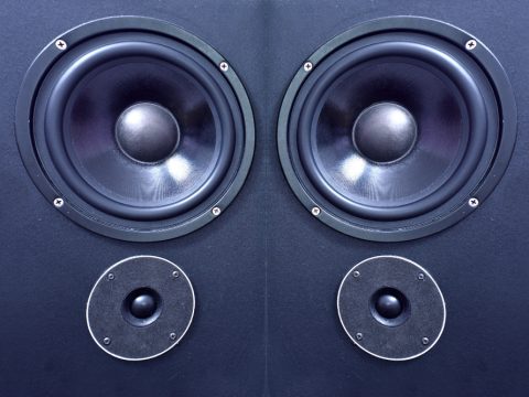 Fullrange speaker model