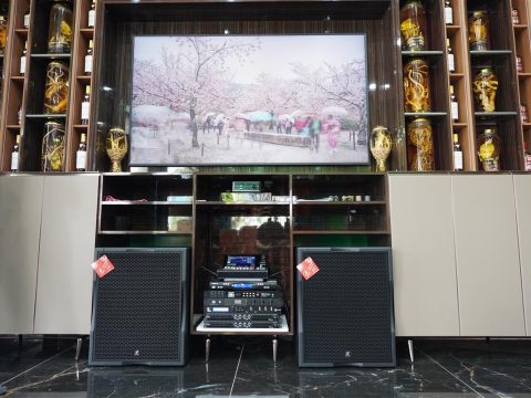 Lắp đặt dàn âm thanh karaoke phòng rượu 80m² tại Trà Vinh